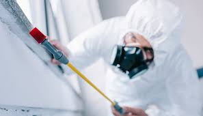 Best Residential Pest Control  in Edwards Af, CA